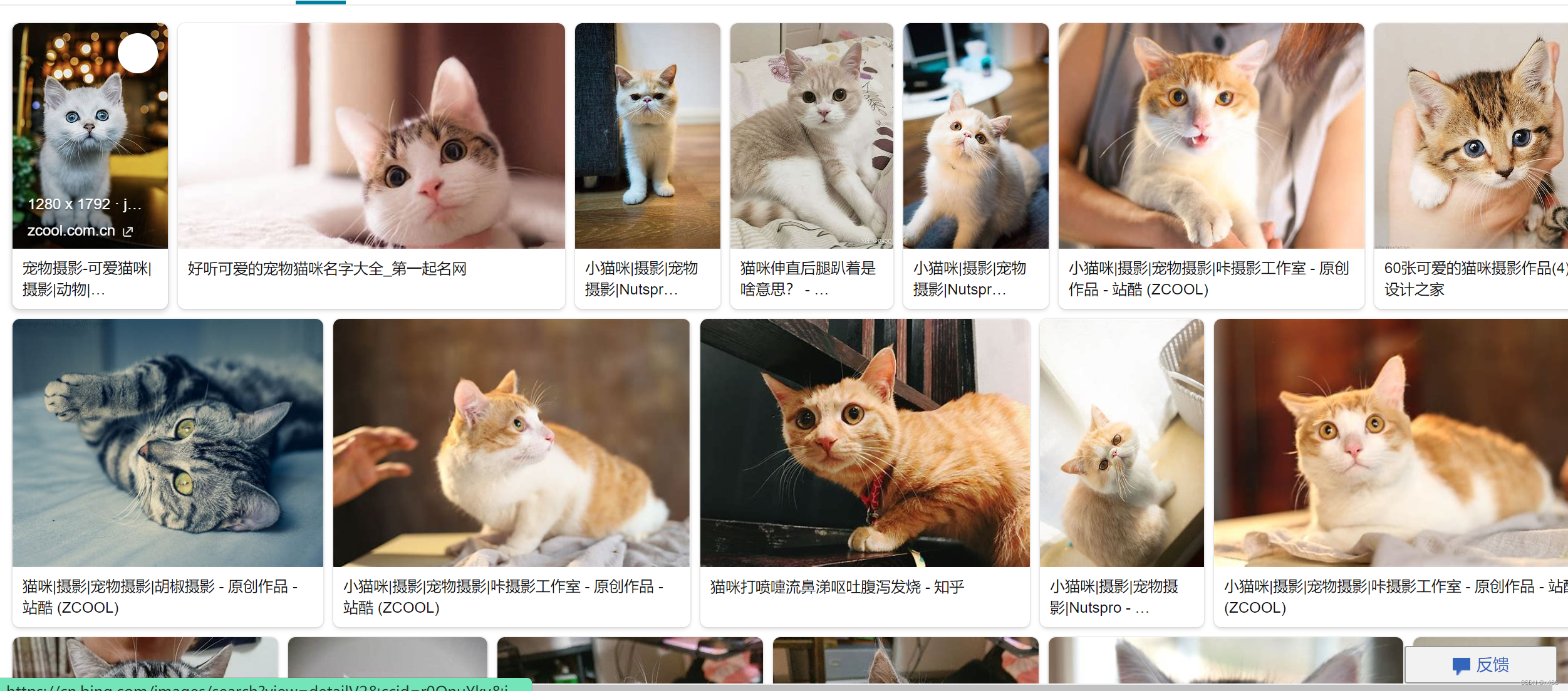 猫咪软件下载地址链接_(猫咪软件官网app下载无病毒)