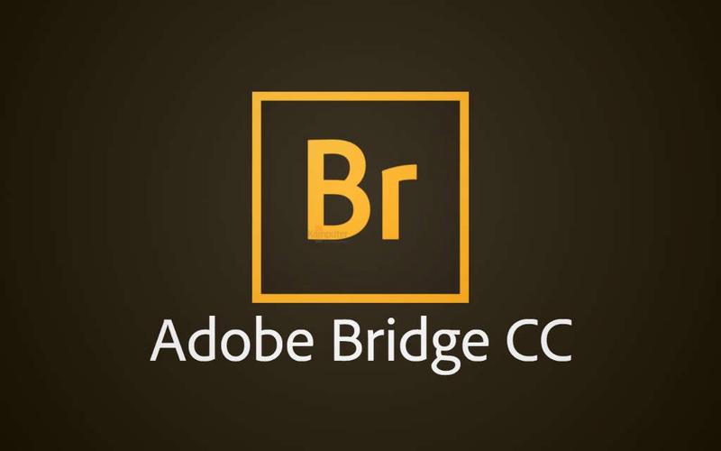 adobe软件下载_(adobe软件下载资源)