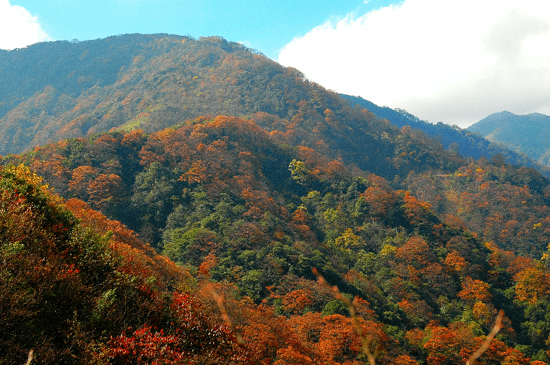 走入大山音乐下载-(走进大山什么时候拍的)