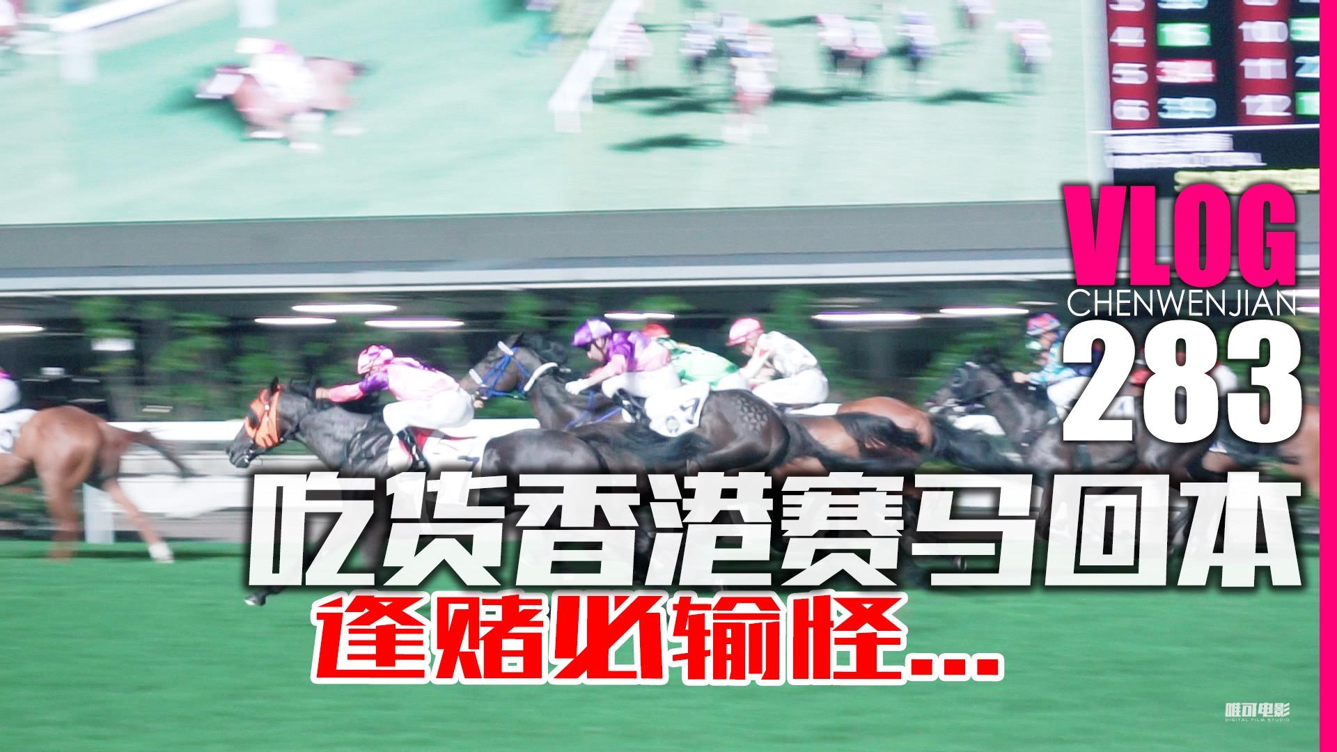 逢赌必输歌曲下载_(逢赌必输歌曲下载mp3)