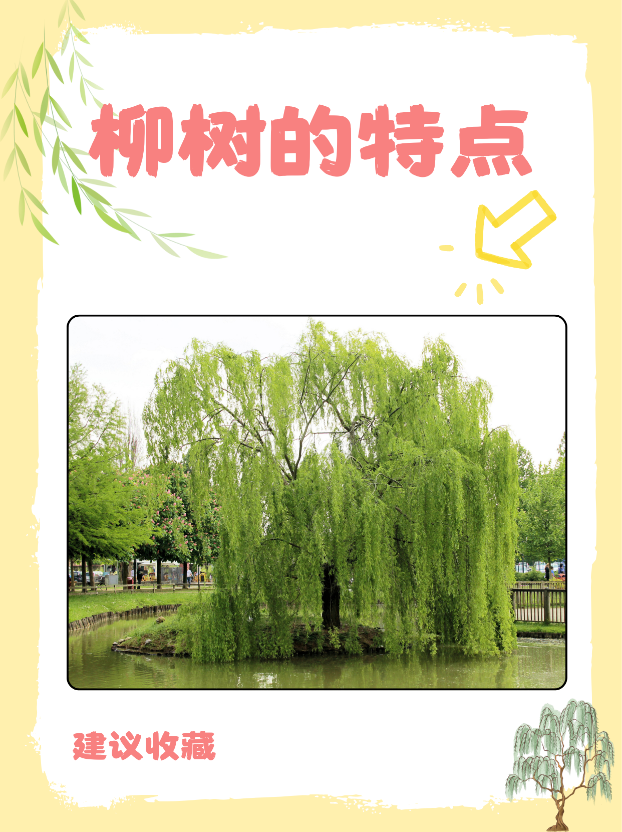 柳树下载约定_(柳树网app下载安装)