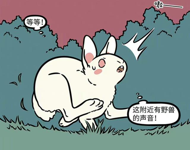 玉兔美图视频下载(玉兔美图视频下载安装)