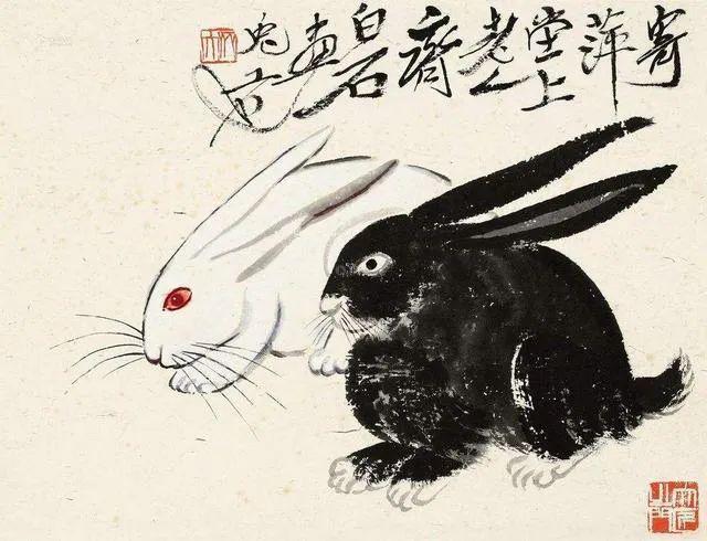 玉兔美图视频下载(玉兔美图视频下载安装)