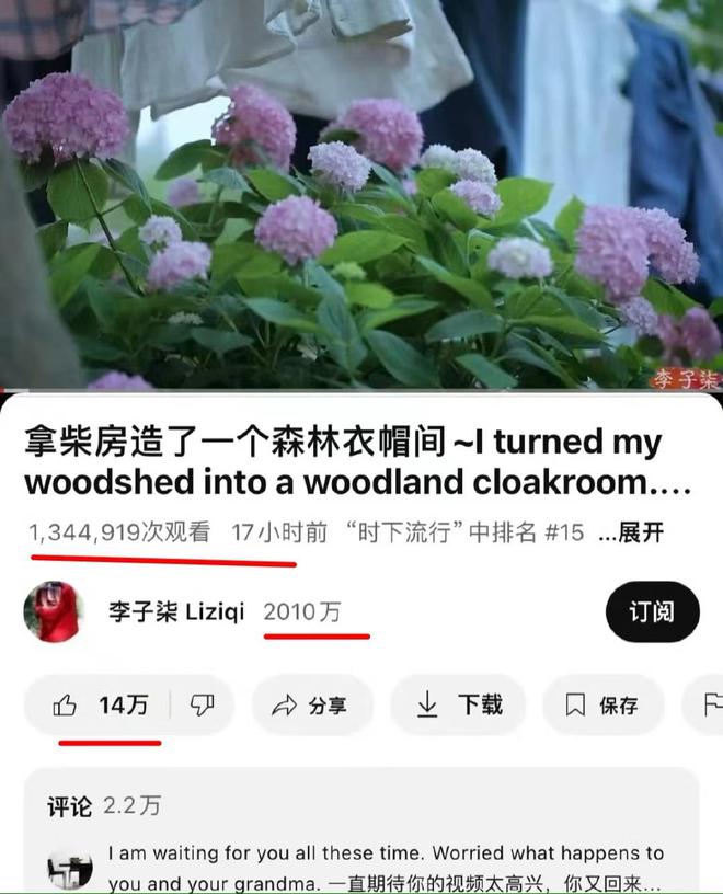 youtube安卓下载手机版-(youtube安卓下载手机版中文)